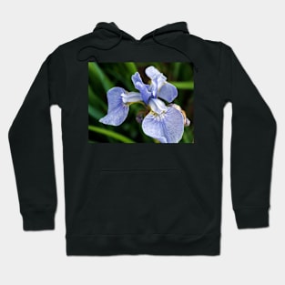 Blue Iris flower head Hoodie